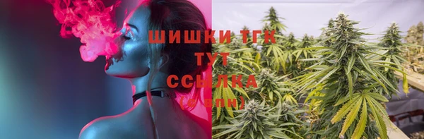 spice Абаза