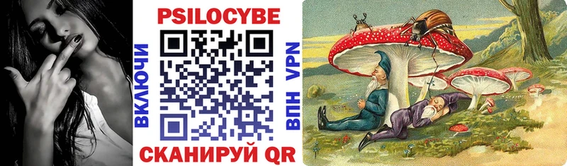 мориарти какой сайт даркнет сайт OMG рабочий сайт Подпорожье Псилоцибиновые грибы Psilocybine cubensis